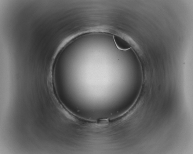 X0000115611184200911171142