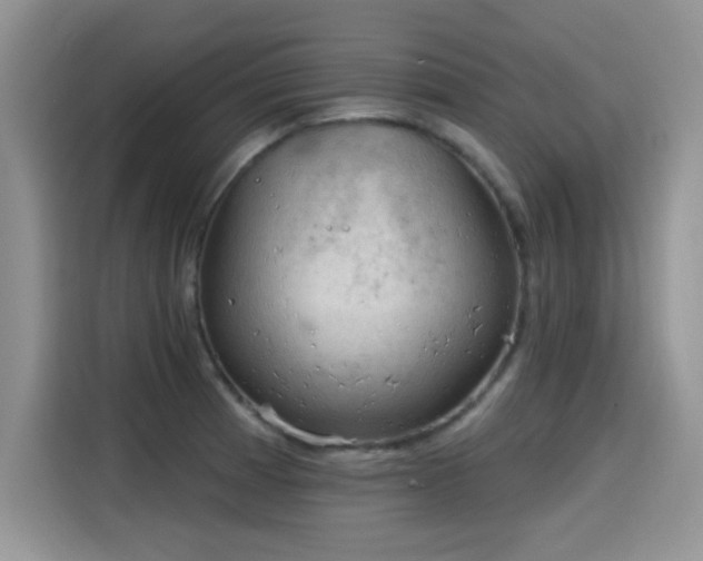 X0000115611185200911171142