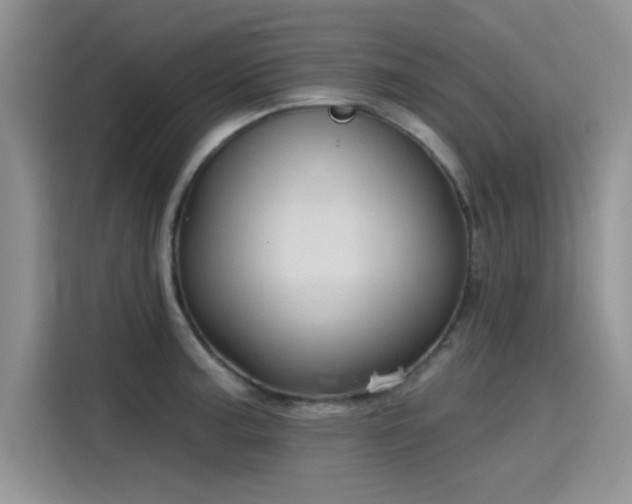 X0000115611187200911171142
