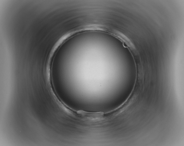 X0000115611188200911171142