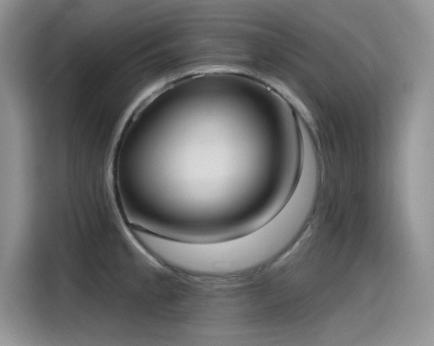 X0000115611189200911171142