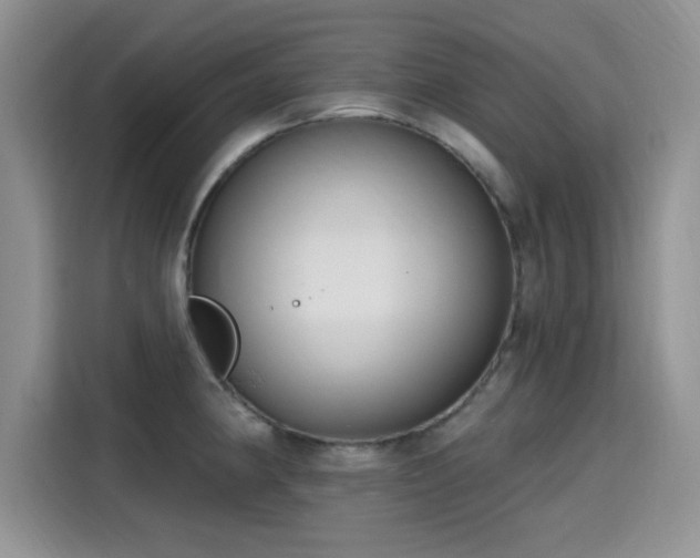 X0000115611190200911171142