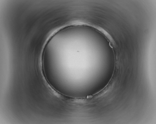 X0000115611191200911171142