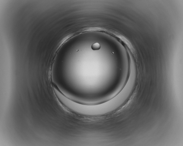 X0000115611193200911171142