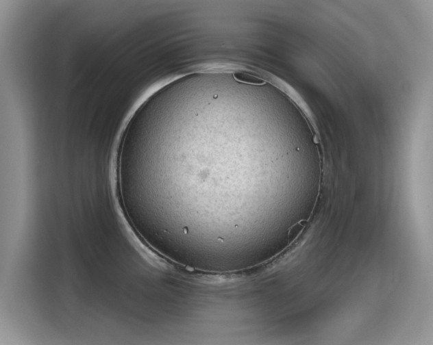 X0000115611195200911171142