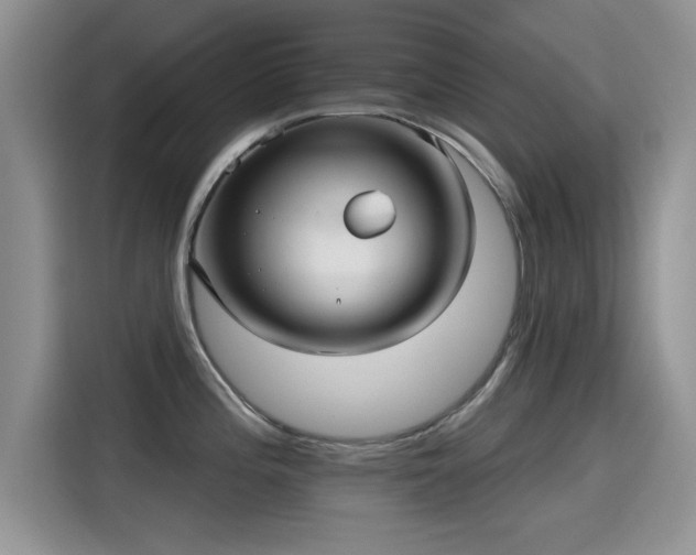 X0000115611196200911171142