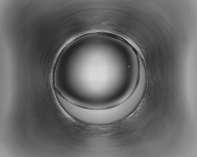 X0000115611197200911171142