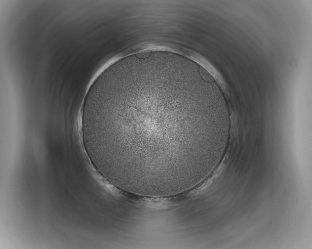 X0000115611198200911171142