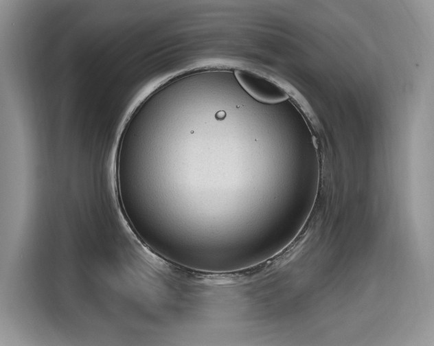 X0000115611199200911171142