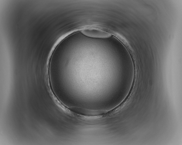 X0000115611200200911171142