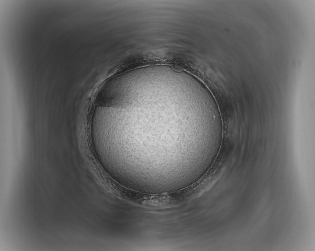 X0000115611201200911171141