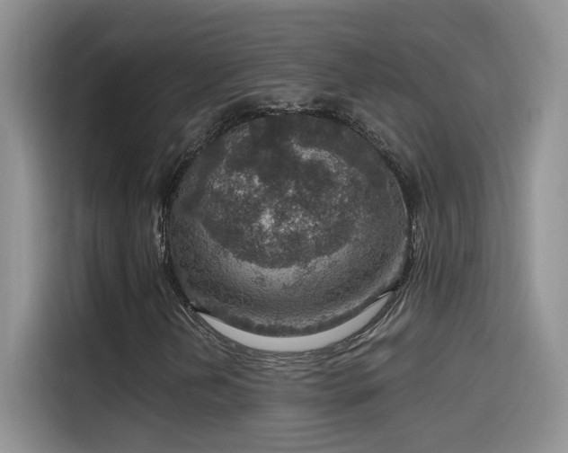 X0000115611202200911171141