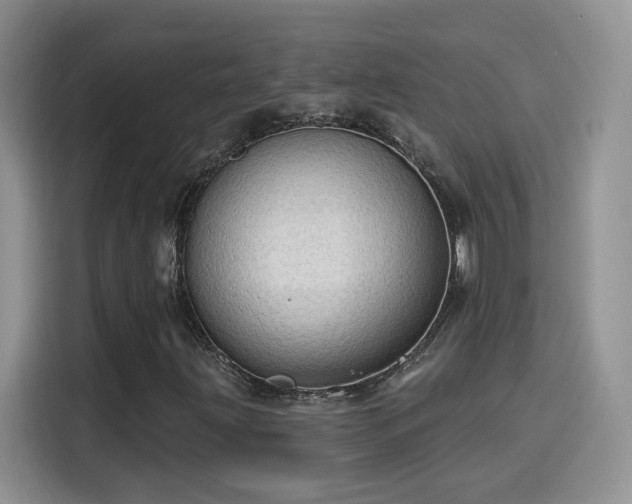 X0000115611203200911171141