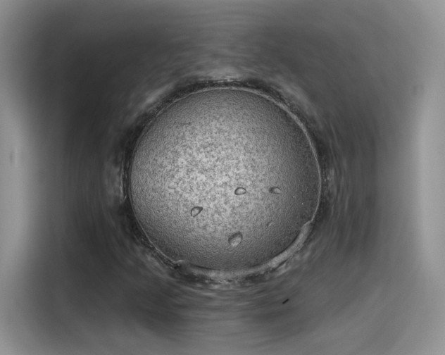 X0000115611205200911171141