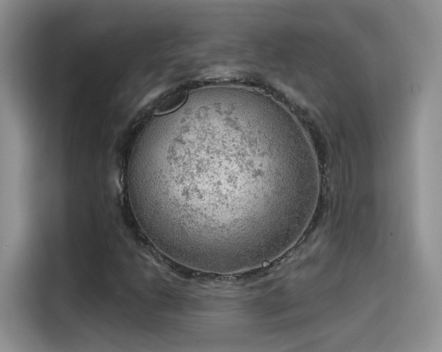 X0000115611206200911171141