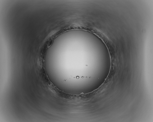 X0000115611207200911171141
