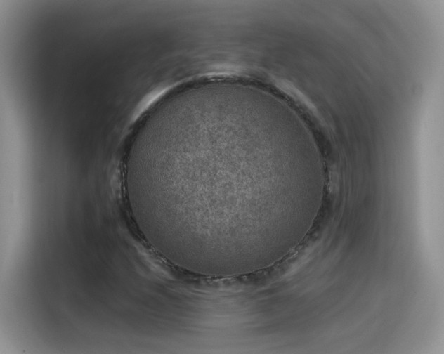 X0000115611208200911171141