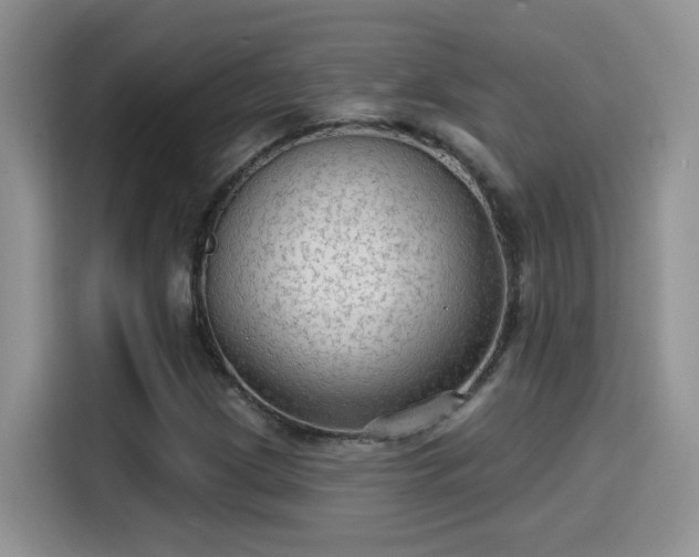 X0000115611209200911171141