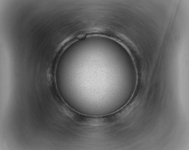 X0000115611210200911171141