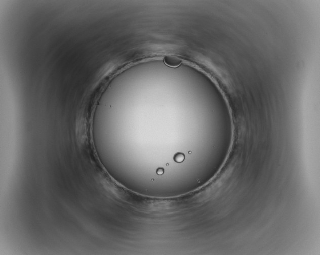 X0000115611211200911171141