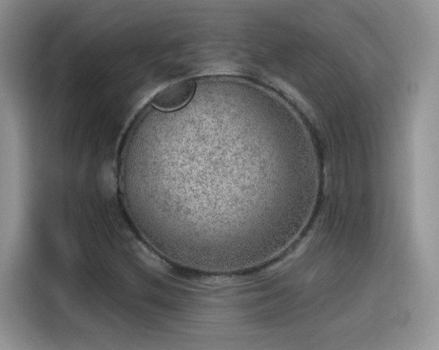 X0000115611212200911171141
