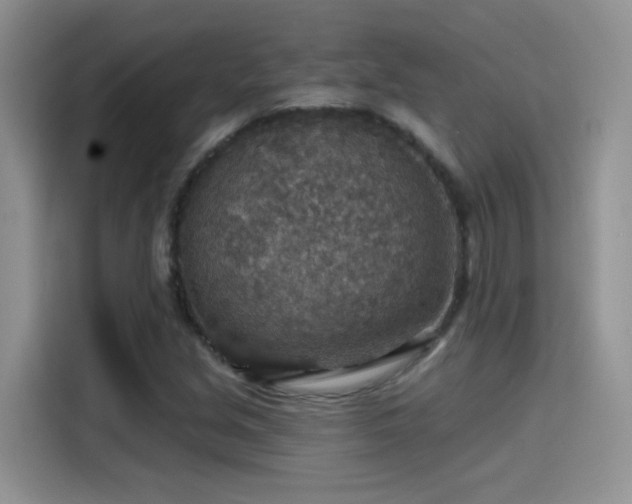 X0000115611213200911171141
