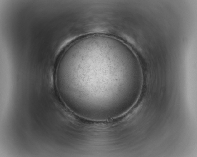 X0000115611214200911171141
