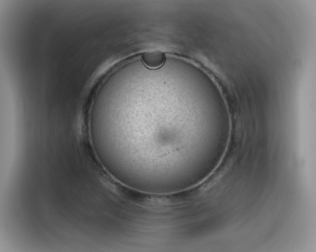 X0000115611215200911171141