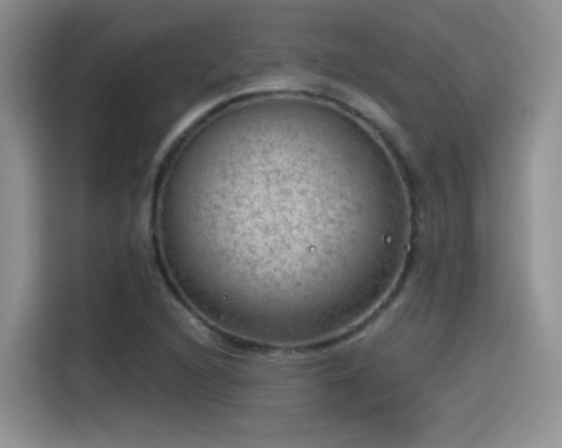 X0000115611216200911171141