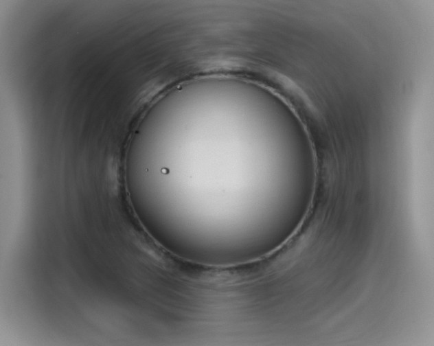 X0000115611217200911171141