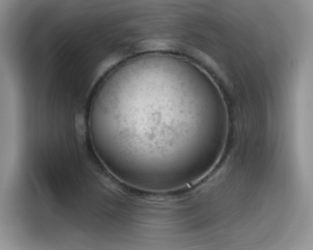 X0000115611218200911171141