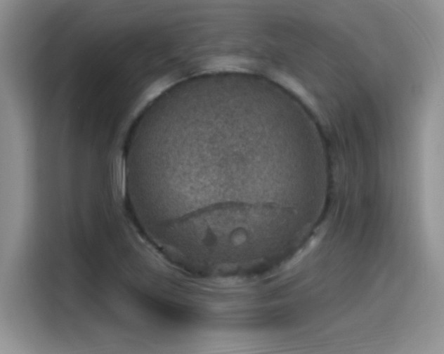 X0000115611219200911171141