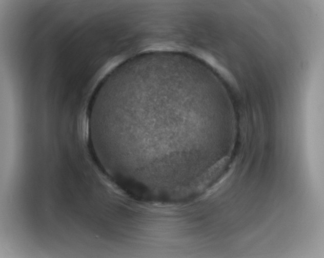 X0000115611221200911171141