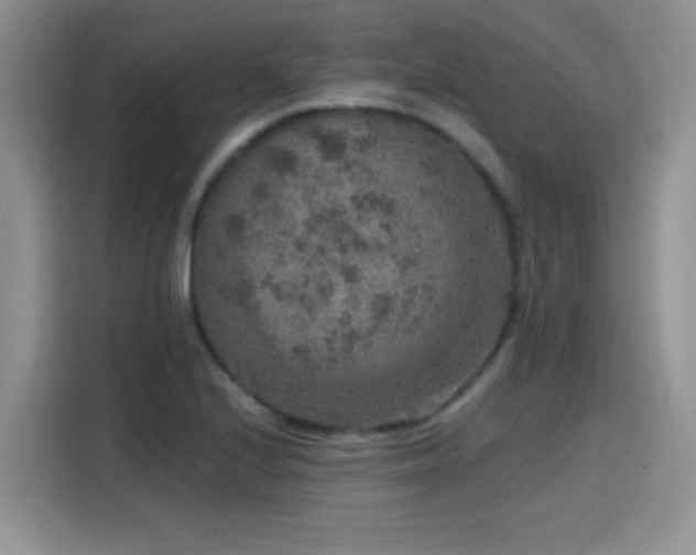 X0000115611224200911171141