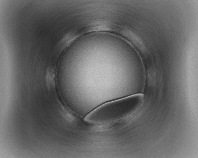 X0000115611225200911171141