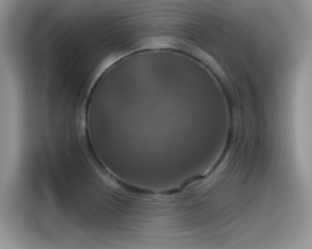 X0000115611226200911171141