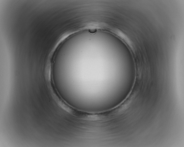 X0000115611227200911171142