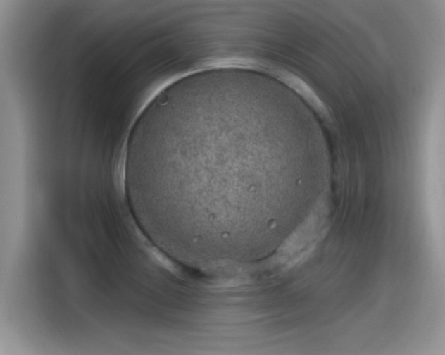 X0000115611228200911171142