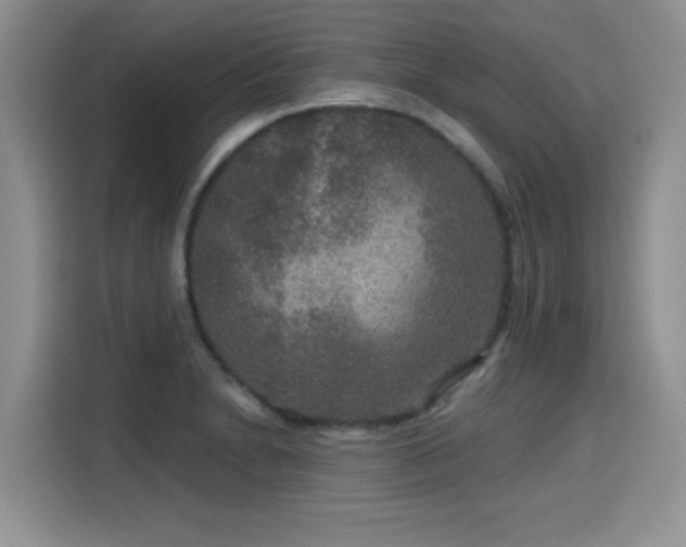 X0000115611230200911171142