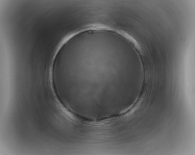 X0000115611231200911171142