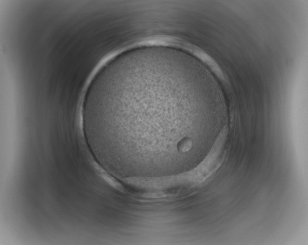 X0000115611232200911171142