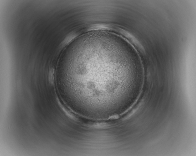 X0000115611233200911171142