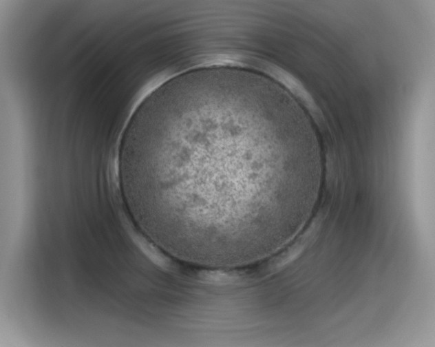 X0000115611234200911171142