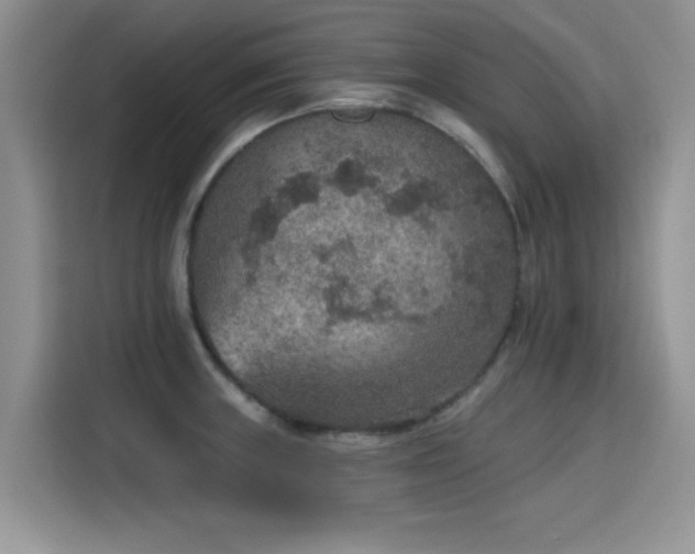 X0000115611235200911171142