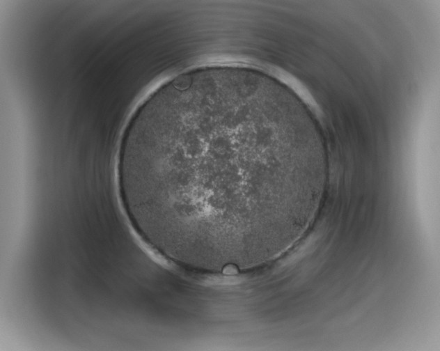 X0000115611237200911171142