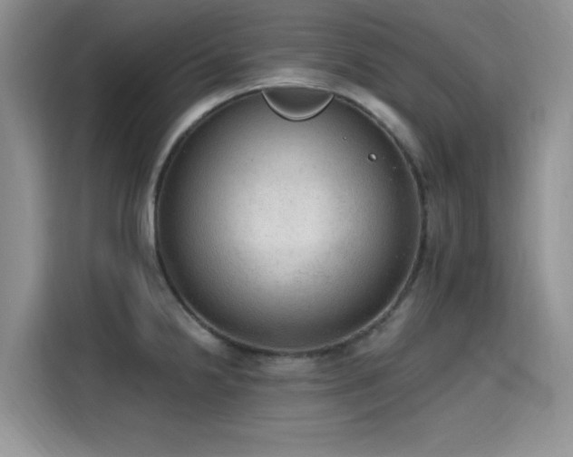 X0000115611238200911171142