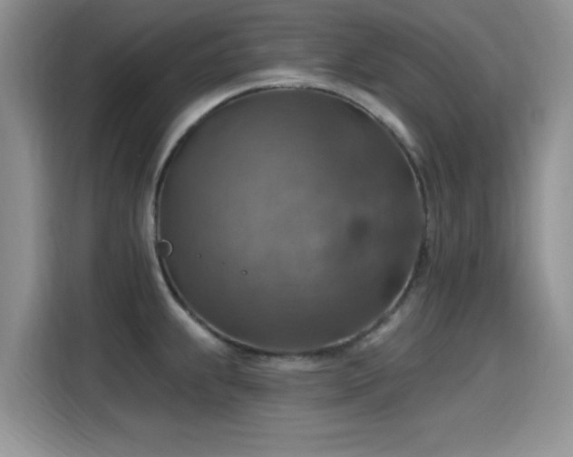 X0000115611239200911171142