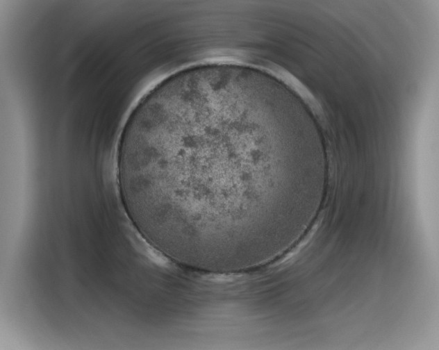X0000115611240200911171142