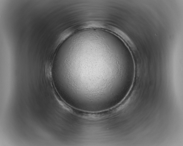 X0000115611241200911171142
