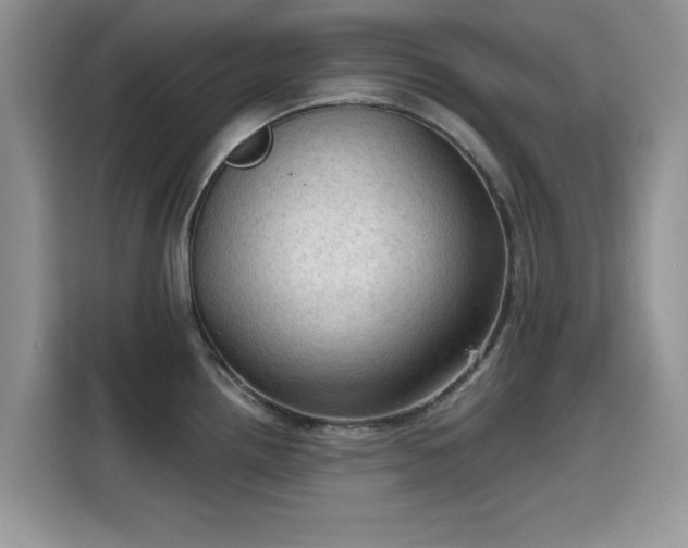 X0000115611242200911171142
